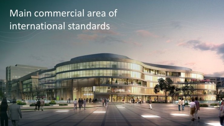 Main commercial area
