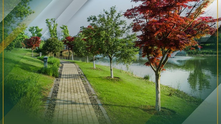 Artificial Lake with water and sports activity
