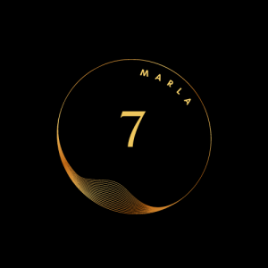 5 (2)